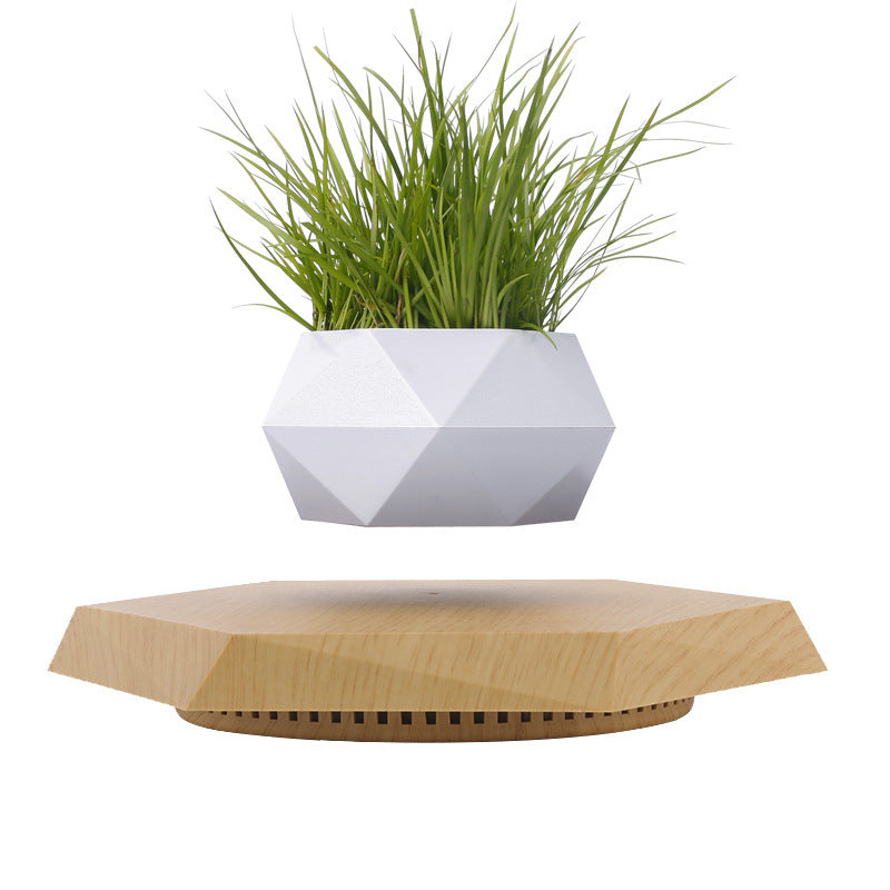 Futuristic levitating planter with magnetic suspension, a unique addition to modern living spaces