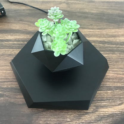 Magnetic levitating planter for succulents and greenery, blending innovation and nature in home decor