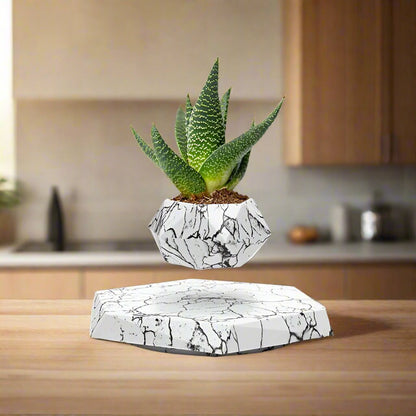 Geometric air bonsai plant pot featuring magnetic levitation technology, perfect for minimalist homes