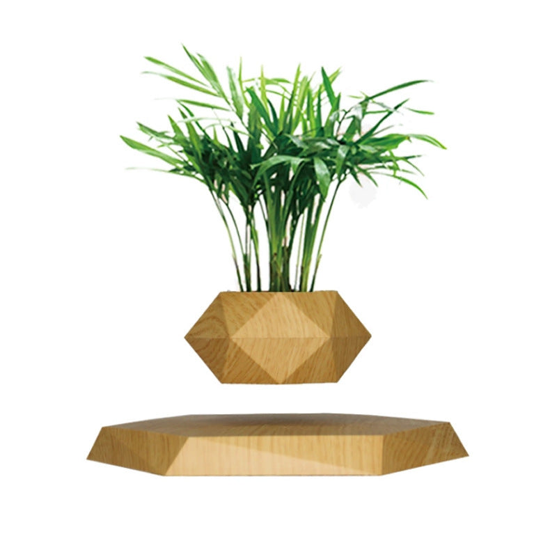 Minimalist magnetic levitating plant pot with geometric black design, ideal for indoor deco